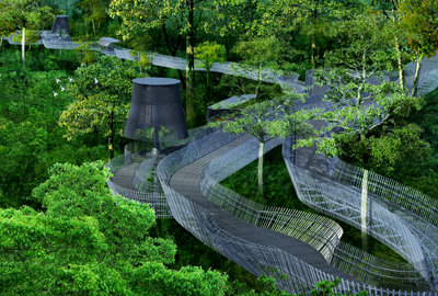 �����󺣹�԰--��ţɽ����ɭ�ֲ��������۹���һ��θֽṹ