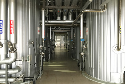 �㽭����Ϫ�������ִ�ֲ��ҩ��ҵ԰ֲ��ҩ��ȡ����