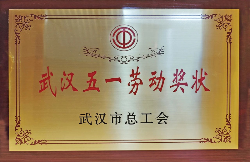 2025��6�£����������������人���ܹ�������2024����Ͷ������վ�������������������������PA��Ѷ(�й���)�ٷ���վ�����ٻ�